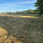Poitevins